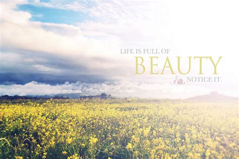 Life Is Full Of Beauty Notice It Pictures Photos And Images For