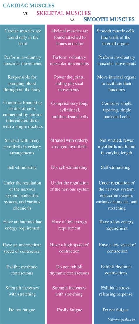 Cardiac muscle cells have more mitochondria, as they are more reliant on aerobic respiration than skeletal muscle. Difference Between Cardiac Skeletal and Smooth Muscle ...