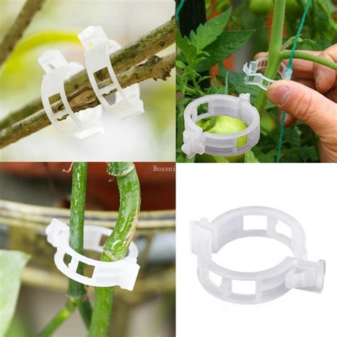 50pcs Plastic Plant Clips Supports For Vegetable Tomato Reusable