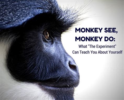 This Social Experiment With 5 Monkeys Explains How Human Society Works