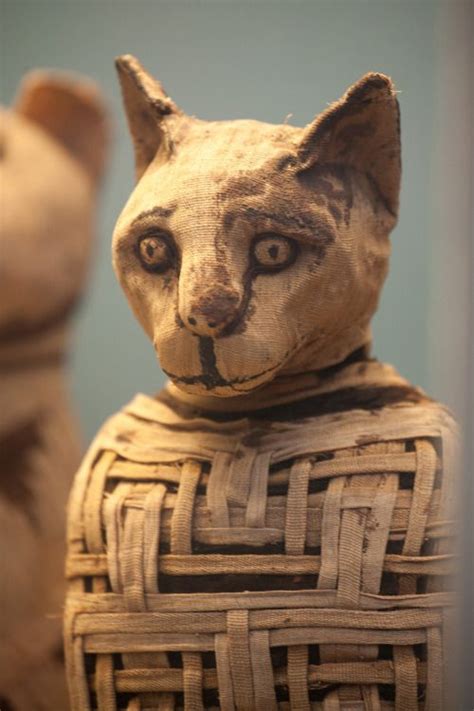 The Digital Broom Cupboard Egyptian Cats British Museum Ancient