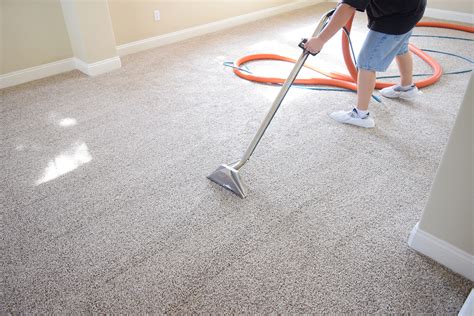 Carpet Care For Busy Lifestyles Tips For On The Go Professionals