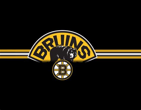 Boston Bruins Logo Bear 423 Best Boston Bruins Images On Pinterest