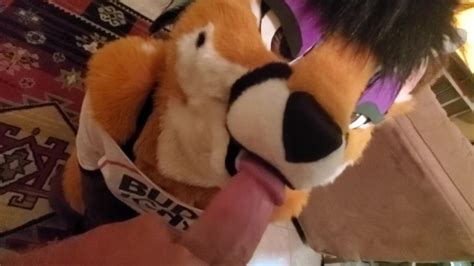 Furries Xxx Mobile Porno Videos And Movies Iporntvnet