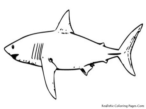 Greetings folks , our todays latest coloringimage that you canwork with is a threatening tiger shark on hunting coloring page. Tropical Fish Coloring Pages | Realistic Coloring Pages