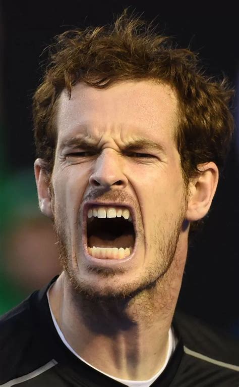 In Pictures Andy Murray V Novak Djokovic All The Best Images From The