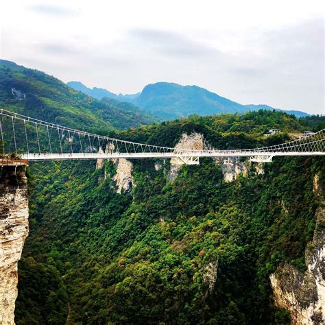 Zhangjiajie Glass Bridge Aktuelle 2021 Lohnt Es Sich Mit Fotos