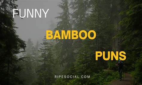 64 Bamboo Puns To Laugh Ripe Social