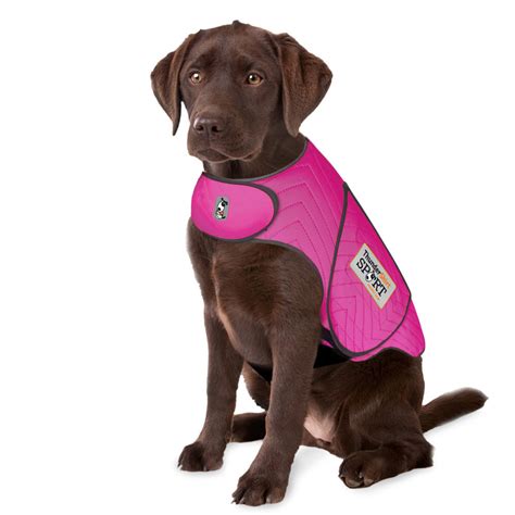 There are some instructions included to make sure your dog adapts to the thundershirt successfully. ThunderWorks Launches Massive Insanely Calm ThunderShirt ...