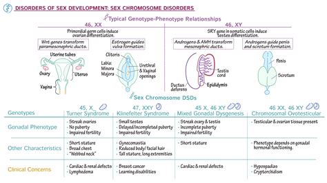 nursing rn sex chromosome dsd draw it to know it