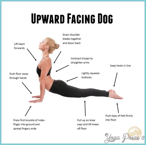 Yoga Upward Facing Dog Pose