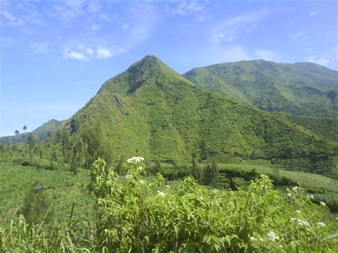 Bukit dalam kamus besar bahasa indonesia (kbbi) memiliki arti, yaitu tumpukan tanah yang lebih tinggi daripada tempat sekelilingnya, lebih. Dikit demi sedikit lama lama jadi bukit Motto T-Pulsa ...