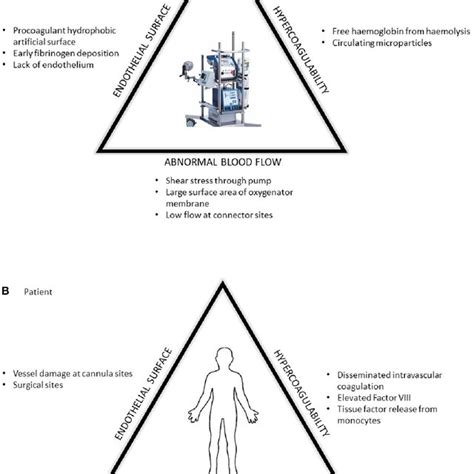 The Prothrombotic Changes Described By Virchows Triad In Respect To