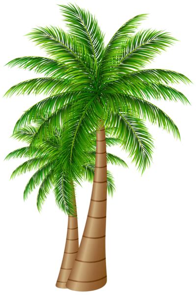 Palm Trees Large Png Clip Art Image Palm Tree Clip Art Beautiful