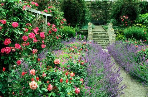 The Perfect Cottage Garden In 7 Simple Steps Cottage Garden Country