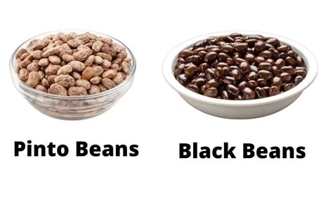 Pinto Beans Vs Black Beans What Is The Difference