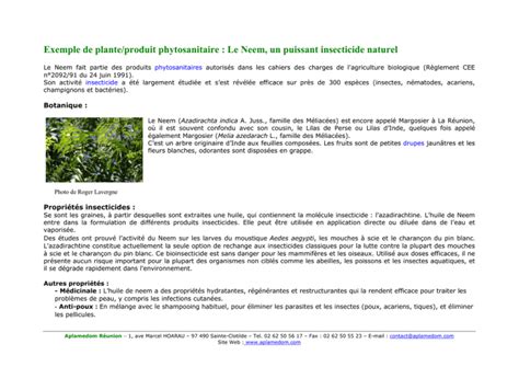 Exemple De Planteproduit Phytosanitaire Le Neem Un Puissant