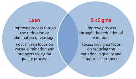 Principles Of Lean Six Sigma Learn The Top 5 Principle Of Lean Six Sigma