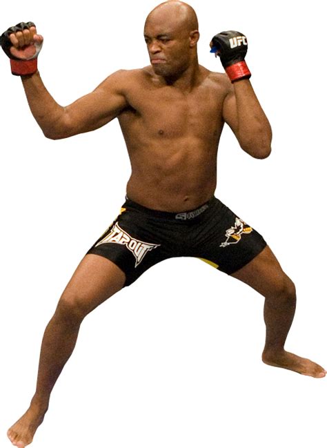 Mixed Martial Arts Png Mma Png Transparent Image Download Size 483x662px