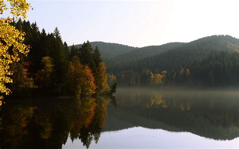 Download Wallpaper 3840x2400 Trees Forest Lake Reflection Landscape