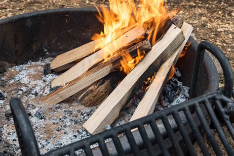 How To Build A Campfire Fresh Off The Grid
