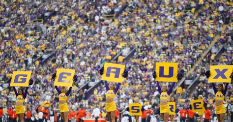 Lsu Tigers Fan Casually Walks Out On Field During Game Without Being Noticed By Security Daily