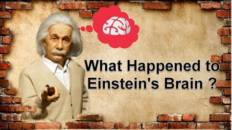 History Tips What Happened To Einsteins Brain Youtube