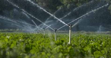 Water Policy Reform Economic Policy Challenges Facing Californias