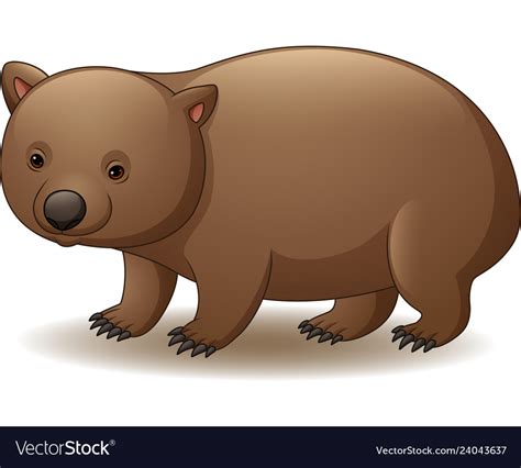 Cartoon Of Wombat Isolated Royalty Free Vector Image