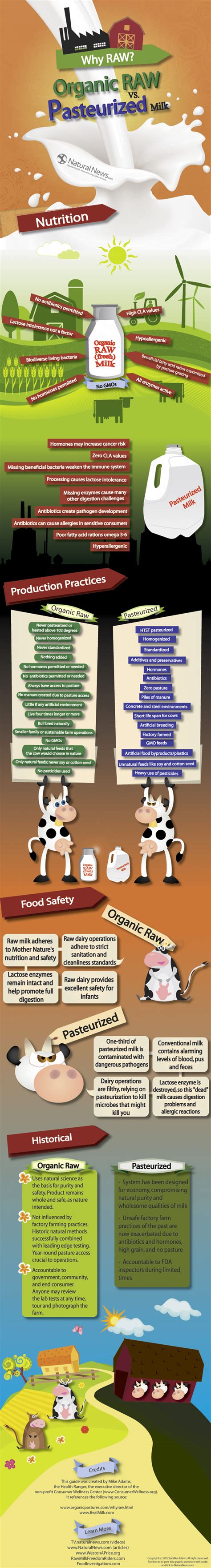 Raw Milk Vs Pasteurized Milk Infographic