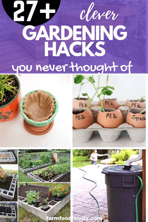 27 Clever Gardening Hacks And Tricks That You Never Thought Of