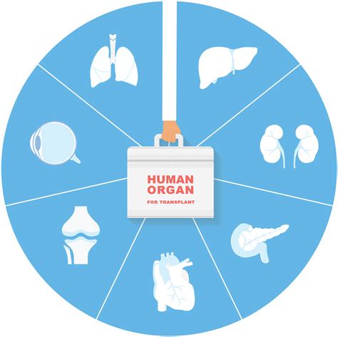 Xenotransplantation Micro Crispr