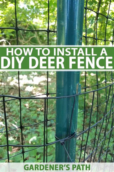 How To Install A Deer Fence To Keep Wildlife Out Of The Garden Deer