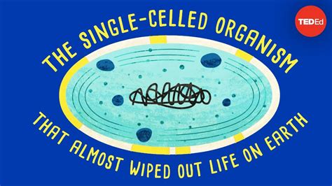 How A Single Celled Organism Almost Wiped Out Life On Earth Classx