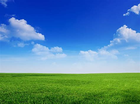3399300 Grass Sky Stock Photos Pictures And Royalty Free Images Istock