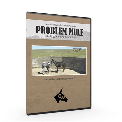 ©2021 mulesoft llc, a salesforce company Problem Mule, Building A New Foundation | How to Start A Mule