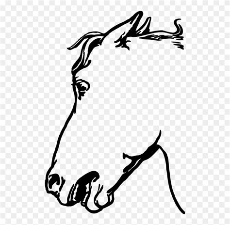 Gambar Sketsa Kepala Kuda Free Transparent Png Clipart Images Download