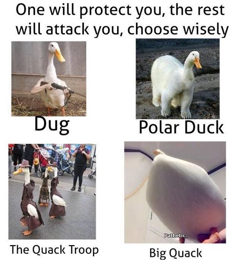 Choose Your Fighter Meme By Jhcdss5 Memedroid