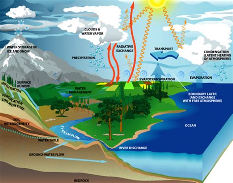 The Hydrological Cycle And Drainage Basins