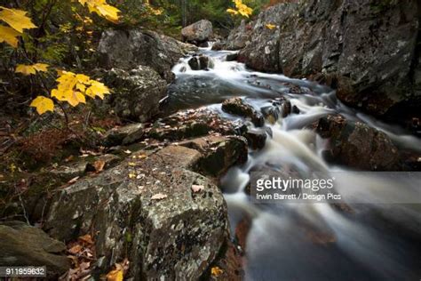 Sleepy Creek Lake Photos And Premium High Res Pictures Getty Images