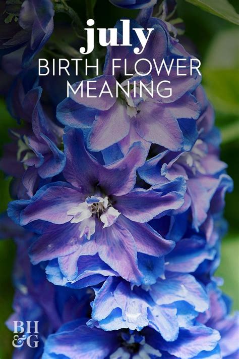 Should you celebrate your birthday with roses, carnations, marigolds, or something else? Find Out Your Birth Month Flower (and the Meaning Behind ...