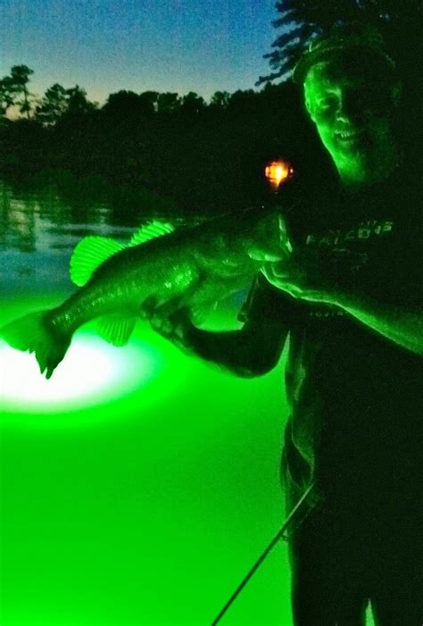 Night Fishing Tips For Freshwater Great Days Outdoors
