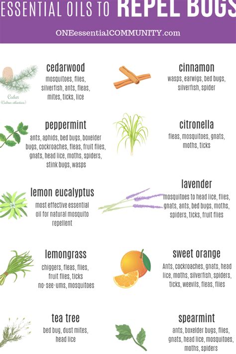 Top 10 essential oils to keep bugs away + lots of DIY recipes to repel ...