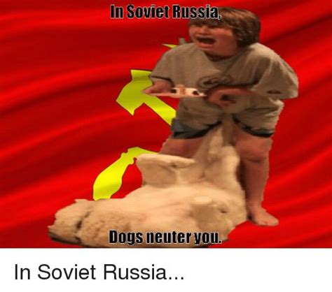 Find The Stunning Funny Russian Dog Memes Hilarious Pets Pictures
