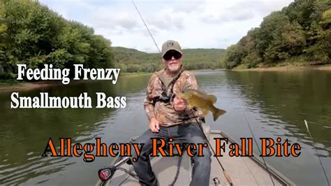 The Fall Bite Smallmouth Bass Feeding Frenzy On Allegheny River Youtube