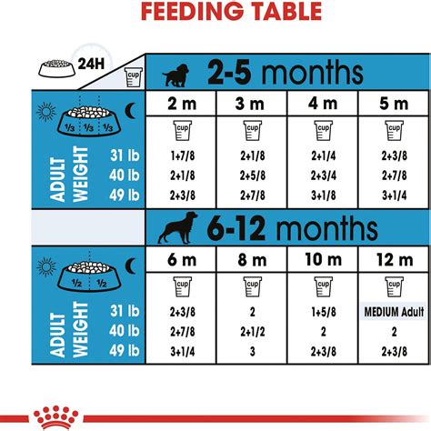 From proteins, fats and carbohydrates to vitamins and minerals. Royal Canin Medium Puppy Dry Dog Food, 6-lb bag - Chewy.com
