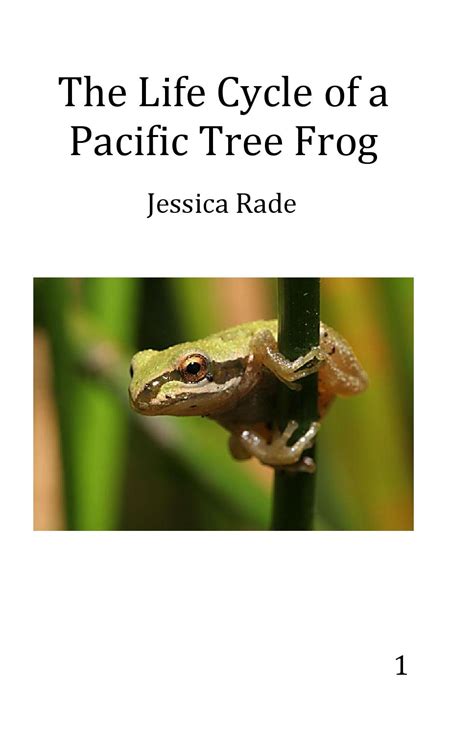 The Life Cycle Of A Pacific Tree Frog By Jessica Rade By