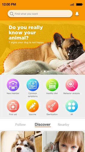 Pet Care App On Demand Pet Care App Development