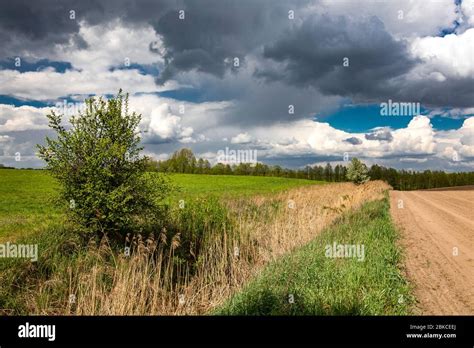 Oat Meadows Hi Res Stock Photography And Images Alamy