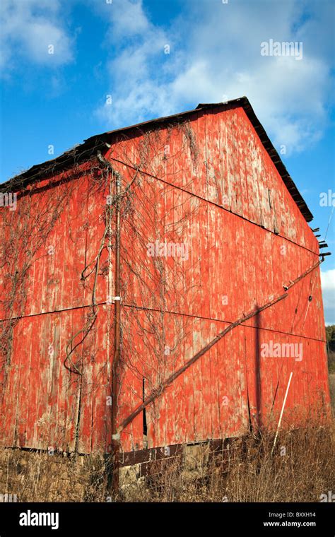 Red Barn In Ohio Stock Photo Alamy
